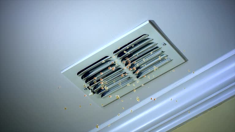 Best HVAC Duct Inspection Services  in Forsyth, MO